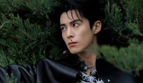 爆料王鹤棣追求田曦薇视频,甜蜜互动引网友热议  第3张